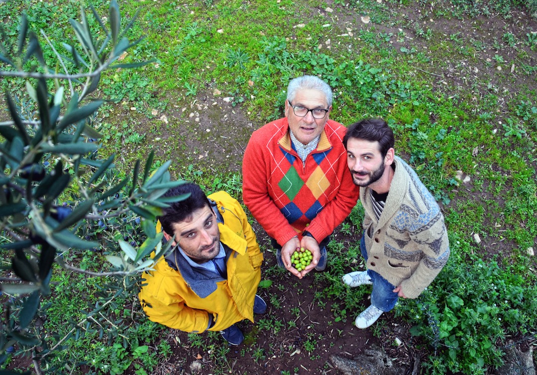 olio ganga lupo